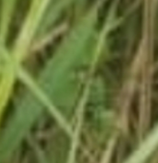 IMG_20260103_000843.webp